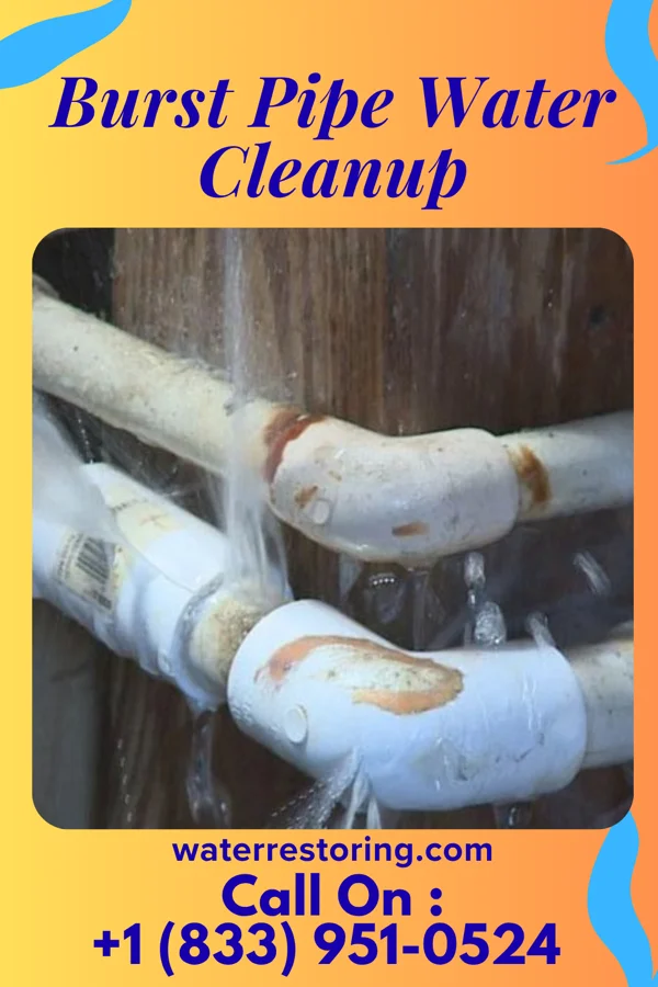 Burst Pipe Water Cleanup in Smithfield, IL