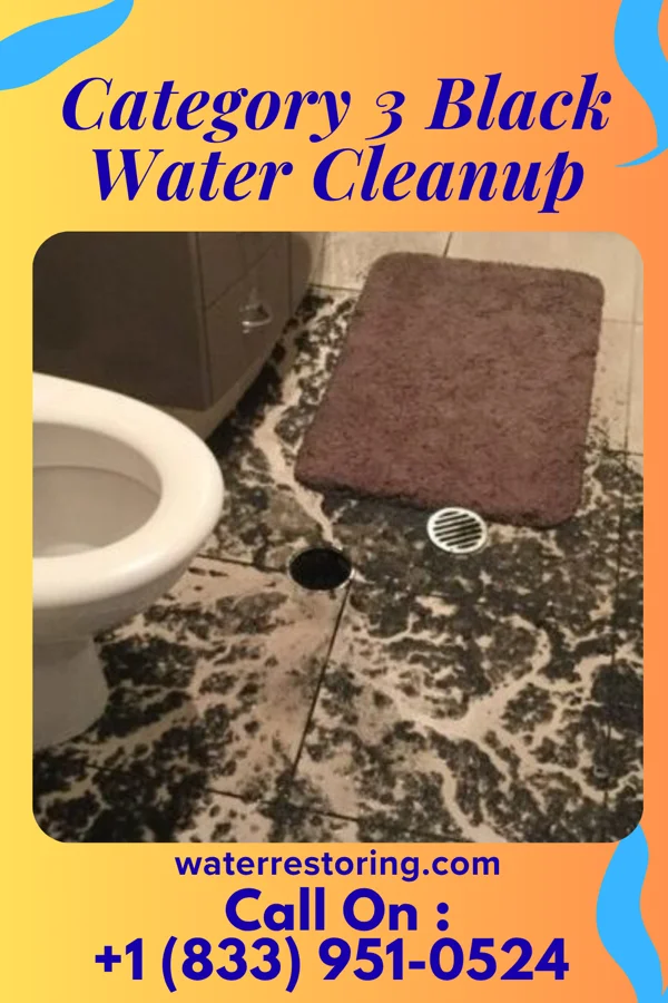 Category 3 Black Water Cleanup in Smithfield, IL